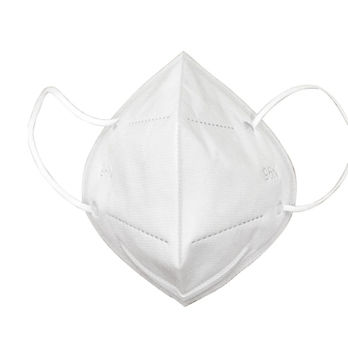 Single N95 Mask